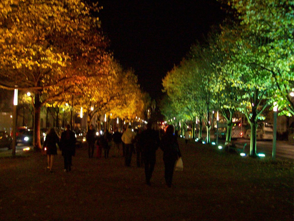 Unter den Linden by StefanKling