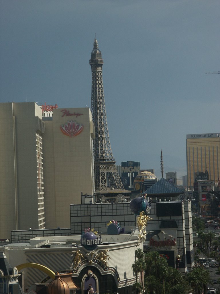 Las Vegas - Harrah's, Flamingo, Paris, MGM, Mandalay by Graciel.la Vidal