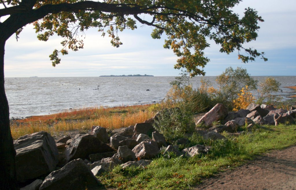 View of sea. by Ilya Tsapko