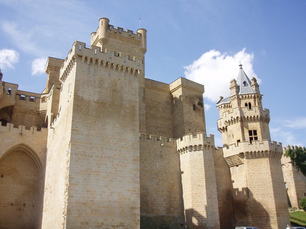 Castillo de Olite by emorlo