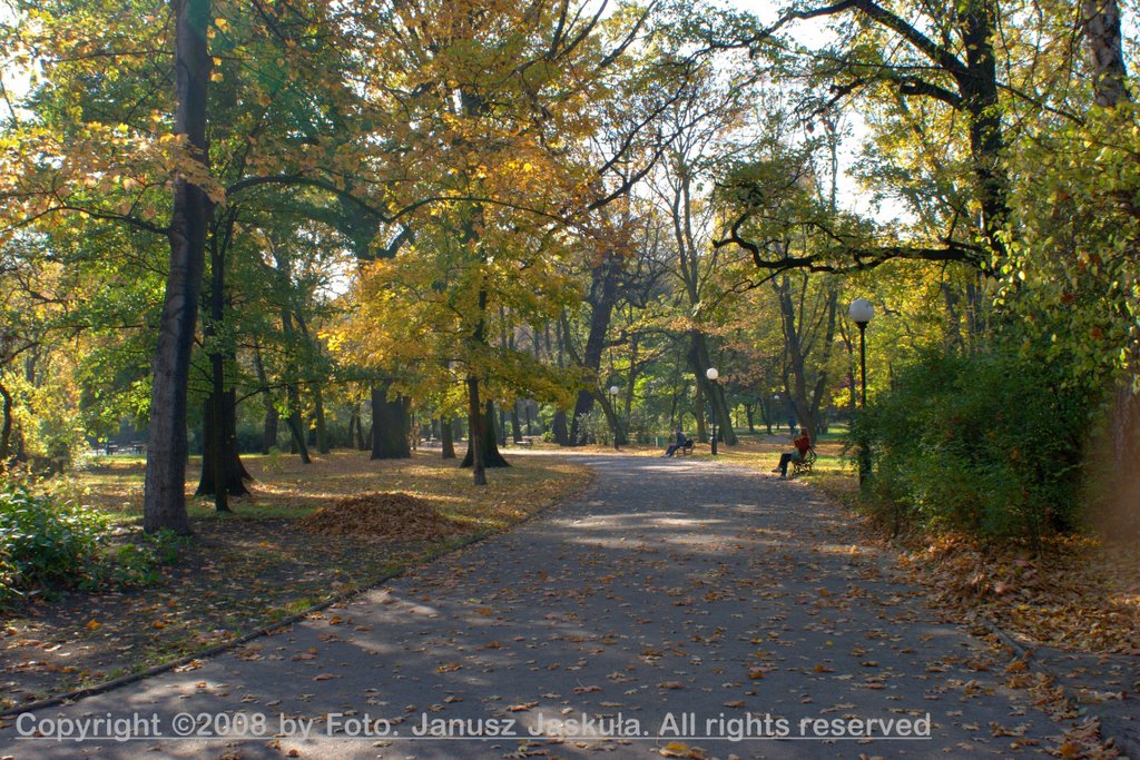 Jesienne spojżenie na park Źródliska I (6) by Swallow 5