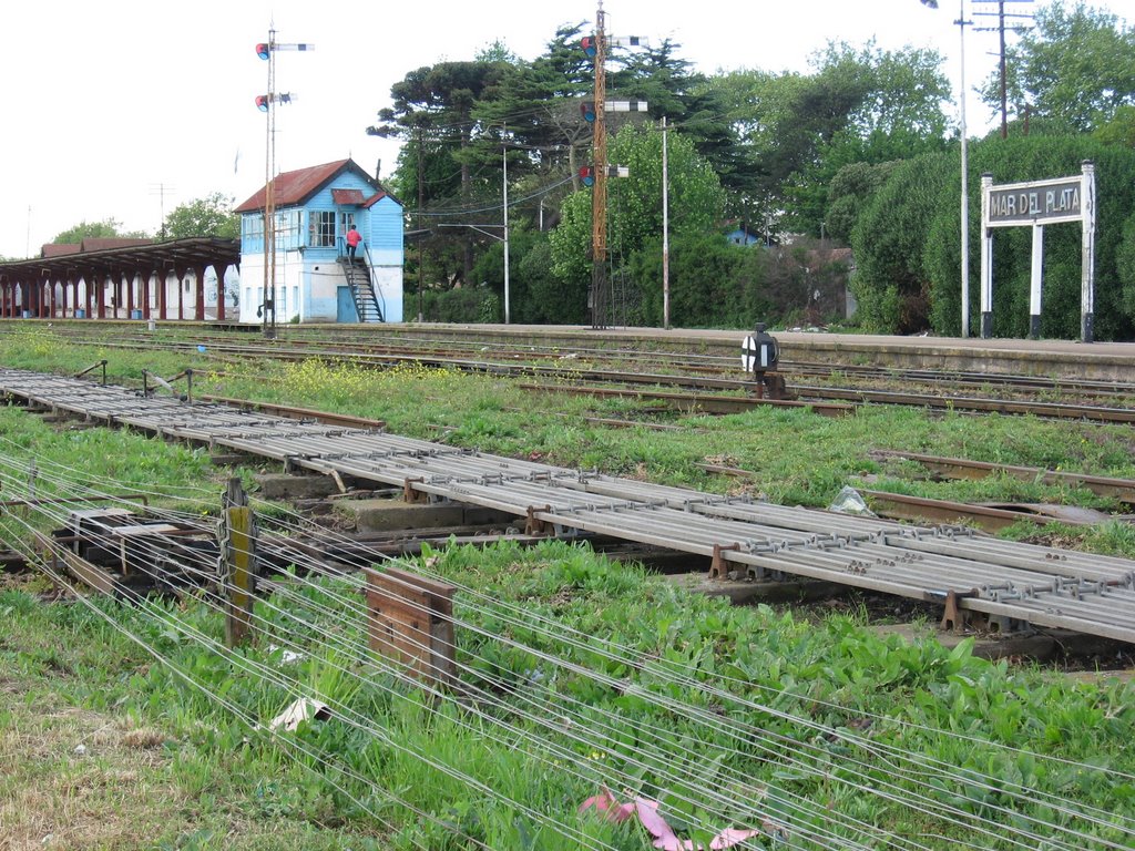 Entrada en tren a Mar del plata by Gustavo Priede