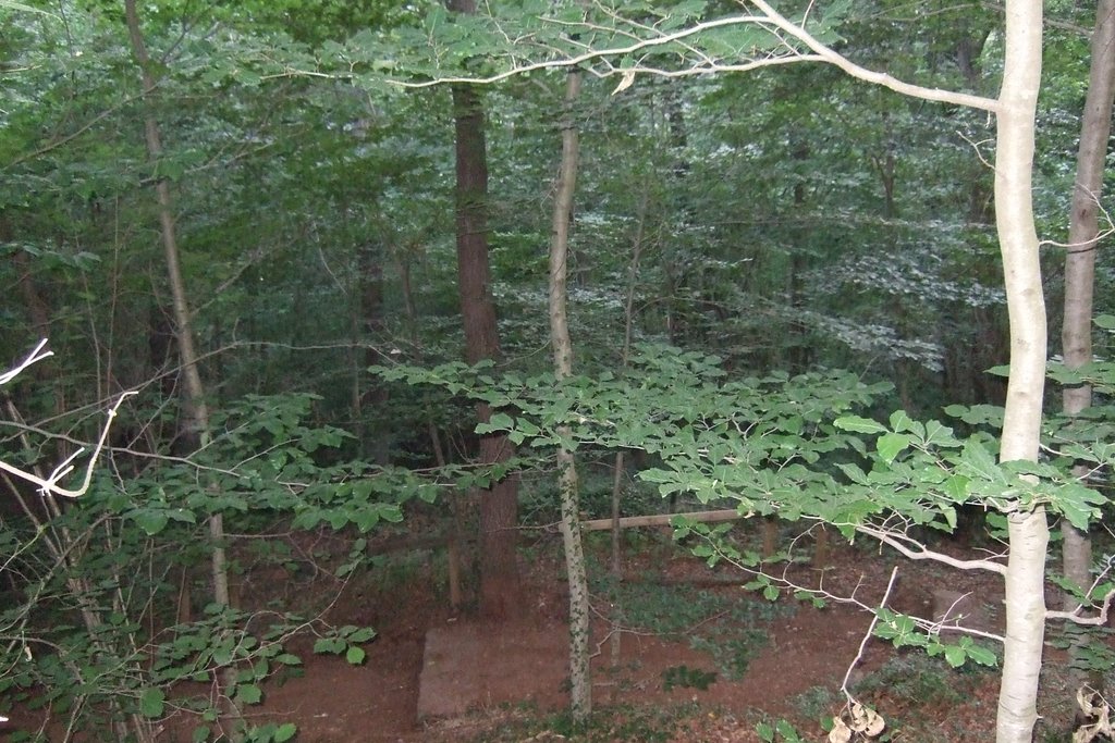 Bosc camí al Santa Margarida by Marçal.C.