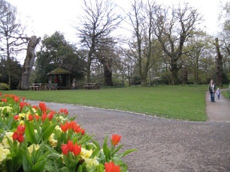 Spring in Richmond park by mukesh_sak