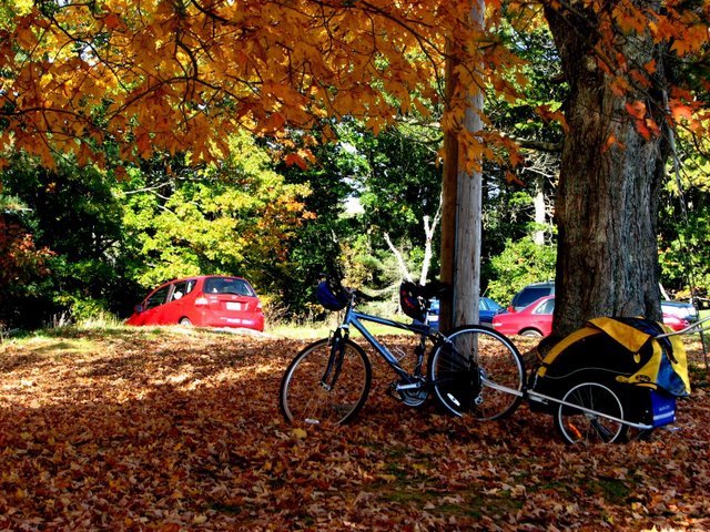 Fall day in Maine by DawnInMaine