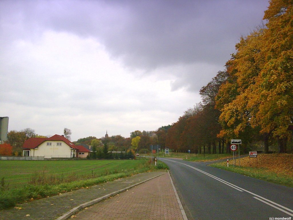 Strasse nach Cedynia, Polen by mondwolf