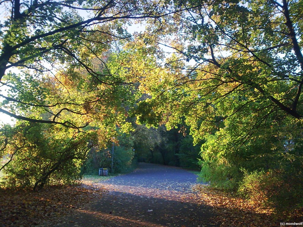 Der Treptower Park im Herbst, Berlin by mondwolf