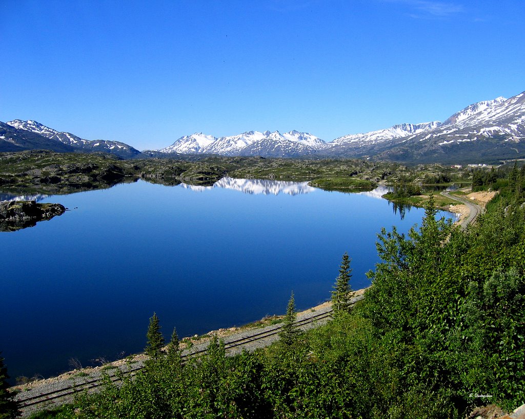 Looking south toward the town of Fraser, British Columbia. by Spencer Vamplew