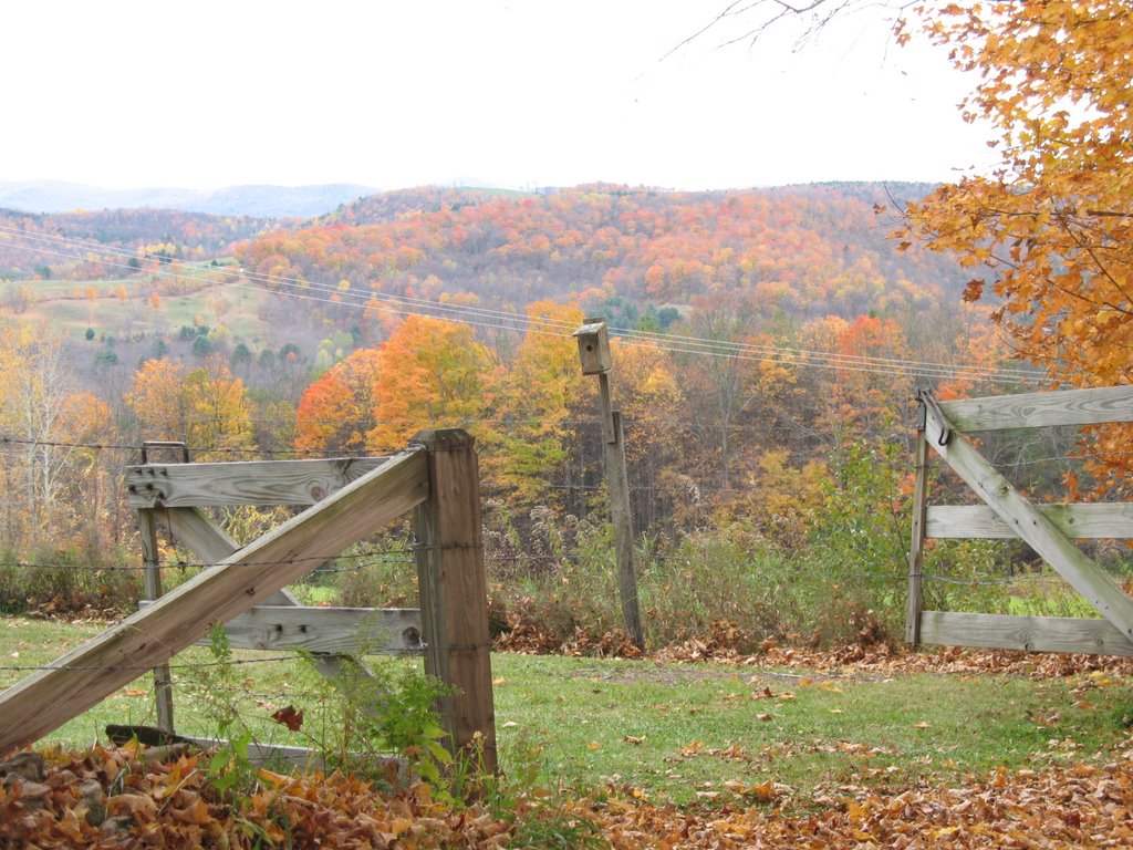 Along Cloudland Road by Steve G