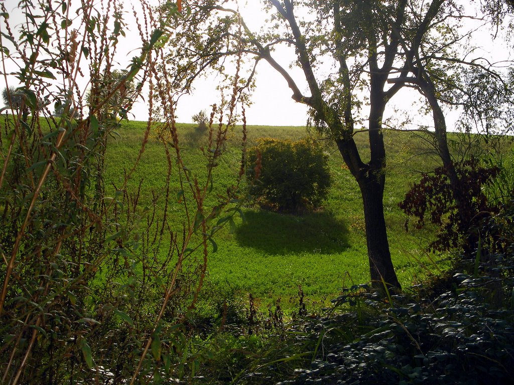 Campagna d'abruzzo by di turi domenico