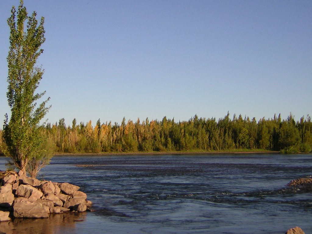 Vista Rio Limay desde Paseo nuevo - NQN by Matias N. Golini