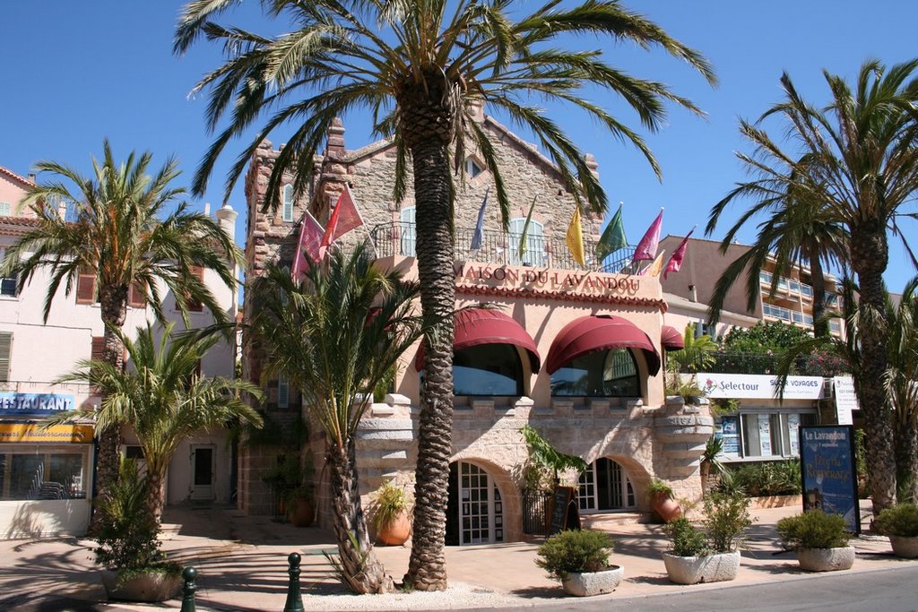 Le Lavandou - Office du tourisme by Philippe Lecointre