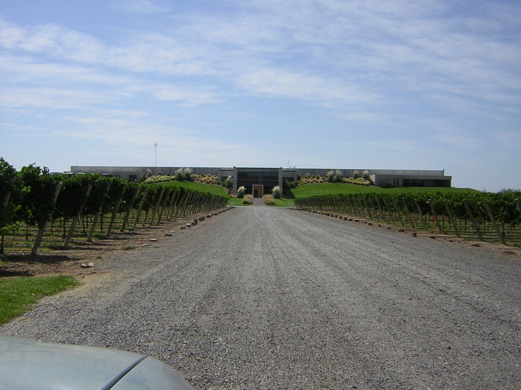 Entrada Bodega NQN by Matias N. Golini