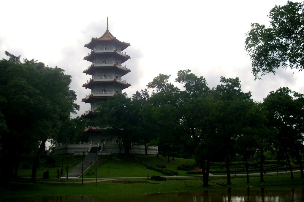 Chinese garden by Linus Aldovino