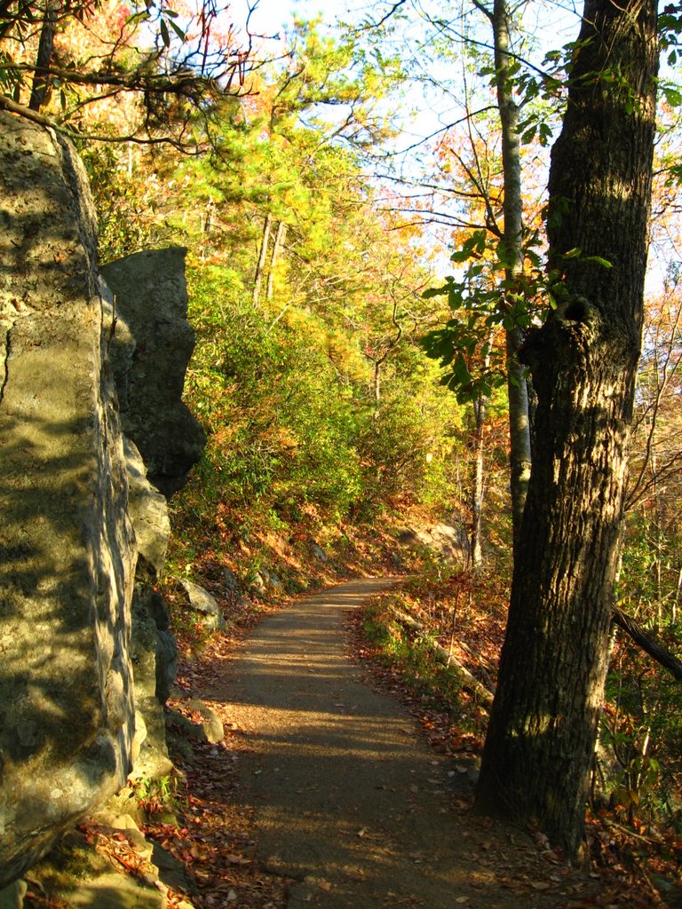 Laurel Falls Trail by Chris Sanfino