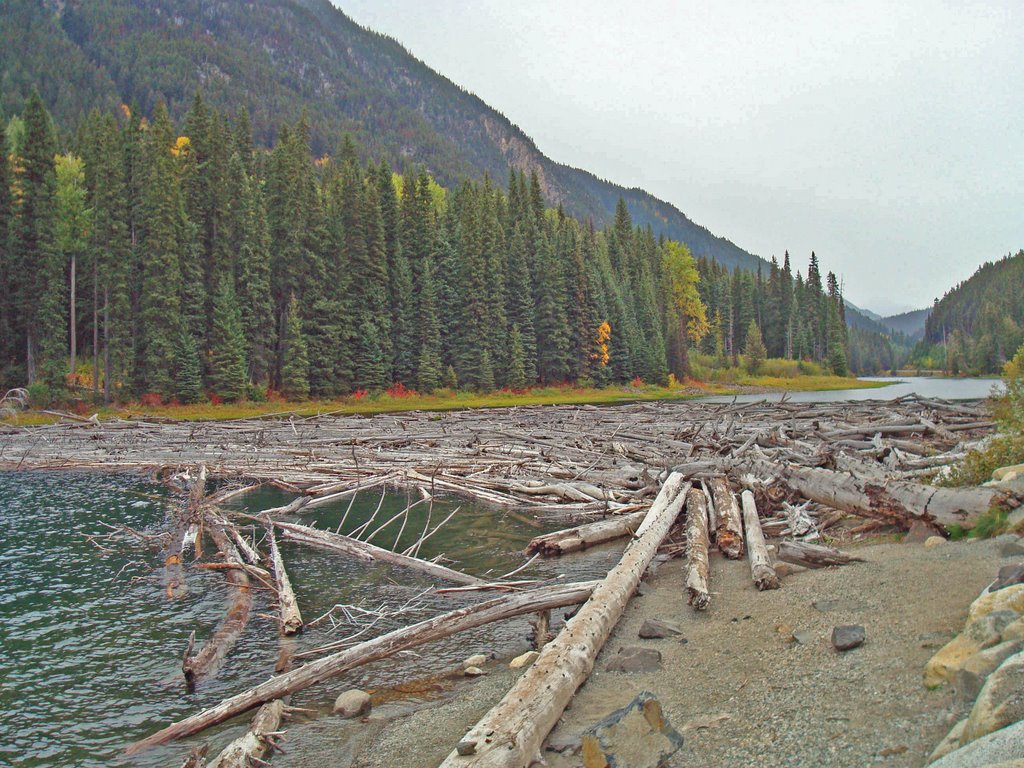 Duffey Lake by julauch