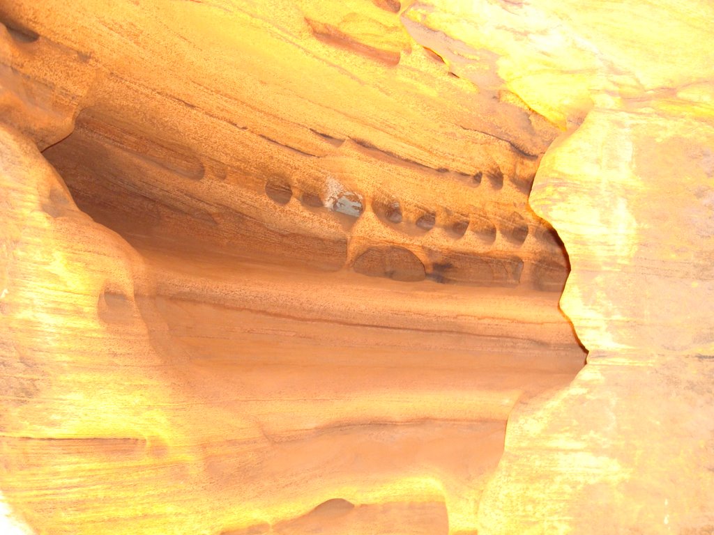 Refrigerator Canyon, Zion National Park, Utah by julauch