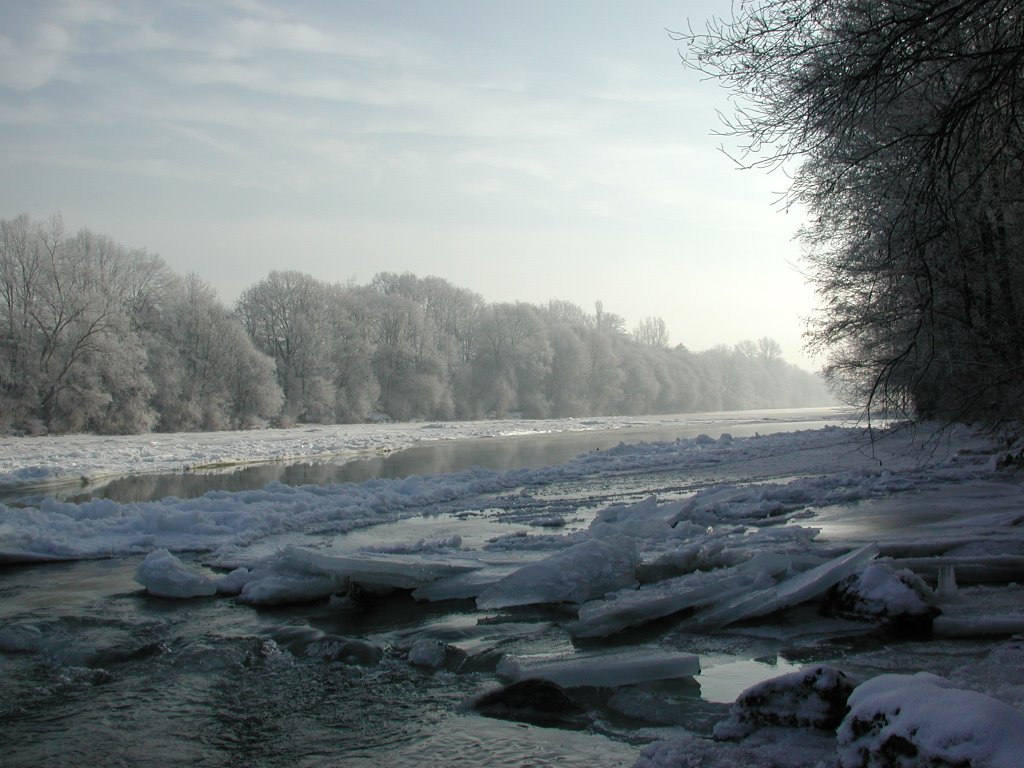 Winter an der Bregenzerach 4 by Gemeinde Hard