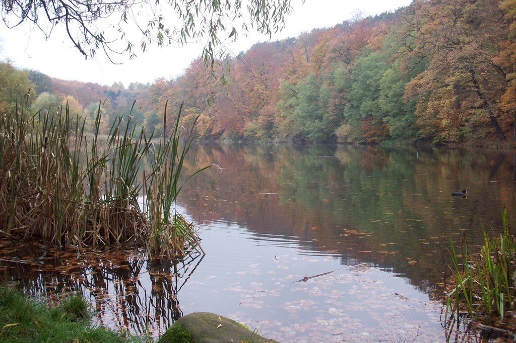 Etang de St Nicolaus by zulzul