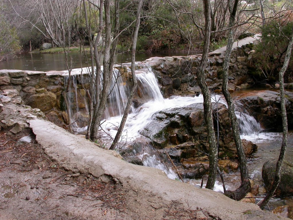 Arroyo en la Pedriza by Jose A. M.A