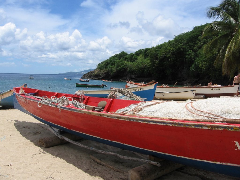 Anse noire by chris stein