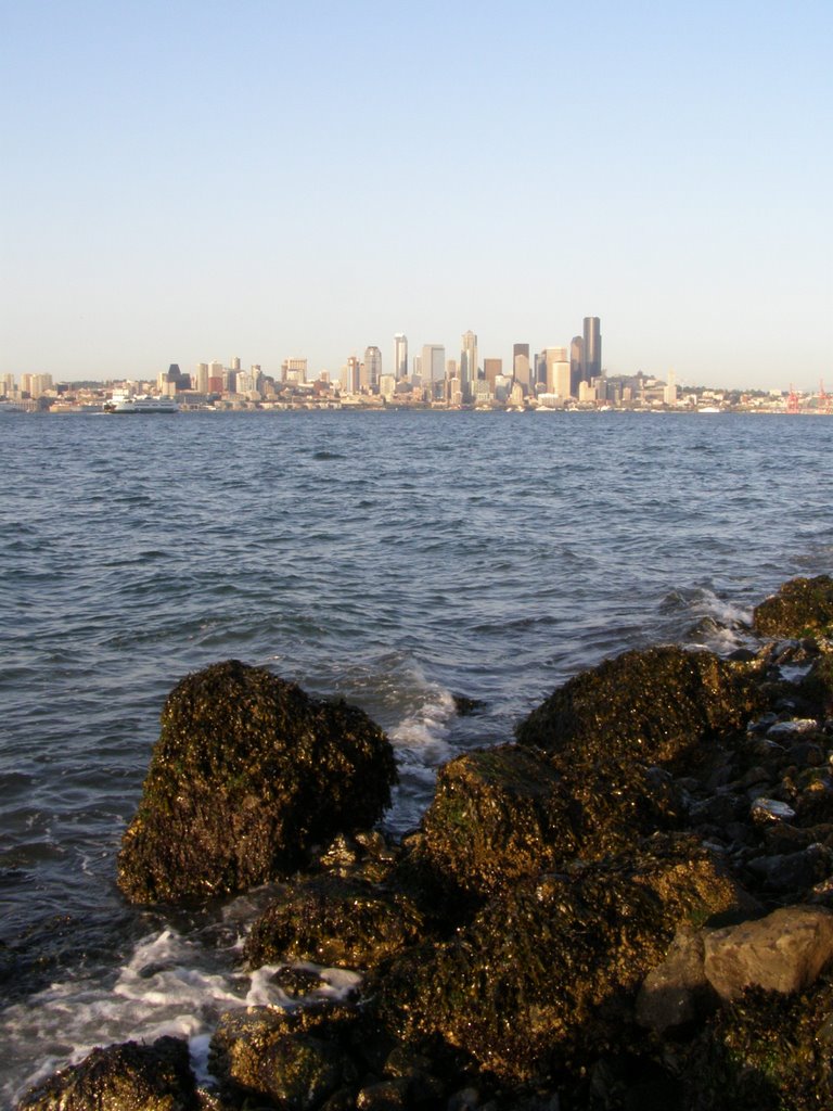 Puget Sound in West Seattle by certom