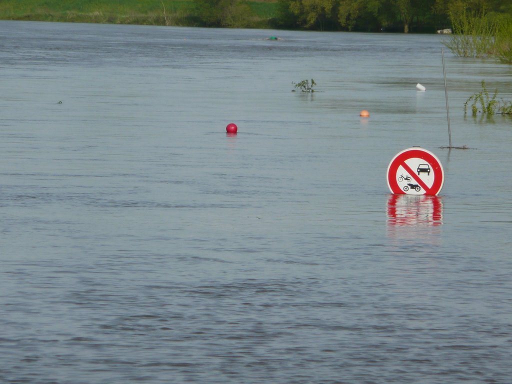 Crue de la Loire by pier5481