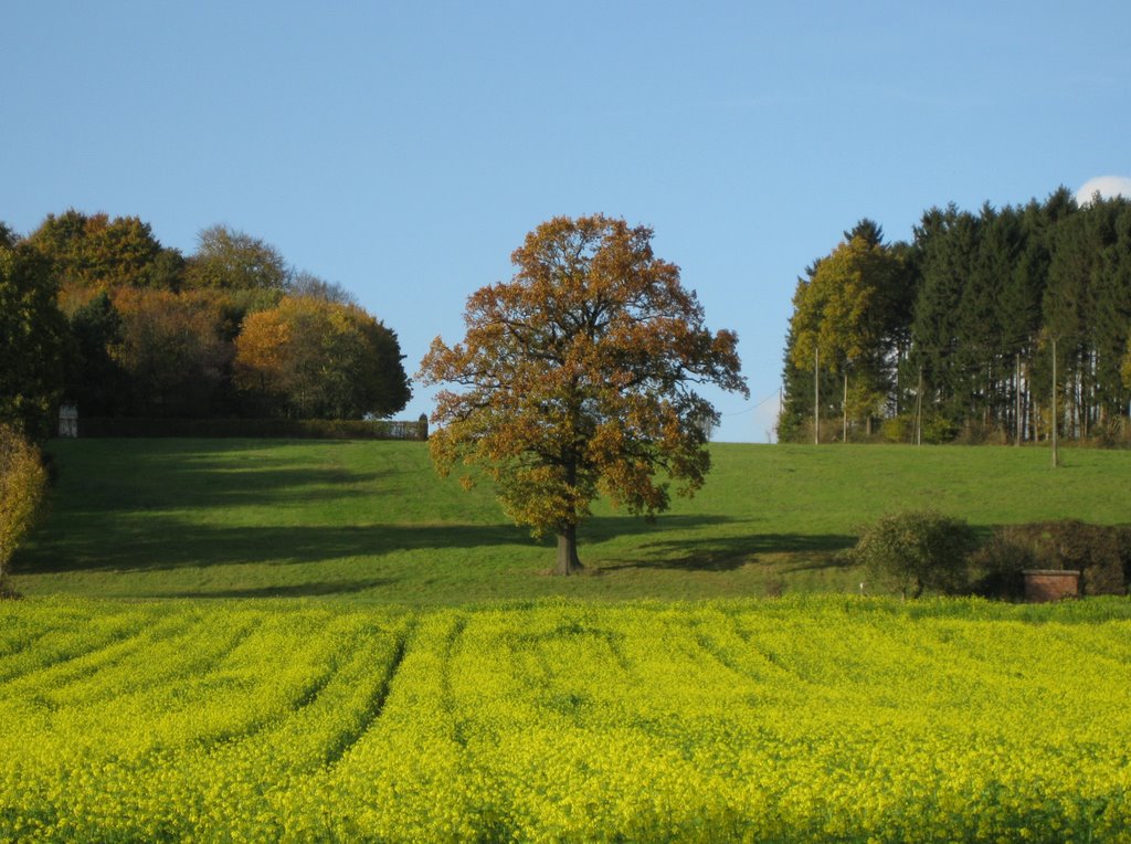 Nottuln, Blick von der B 525 in die Hanloer Mark by Winfried Thiemann