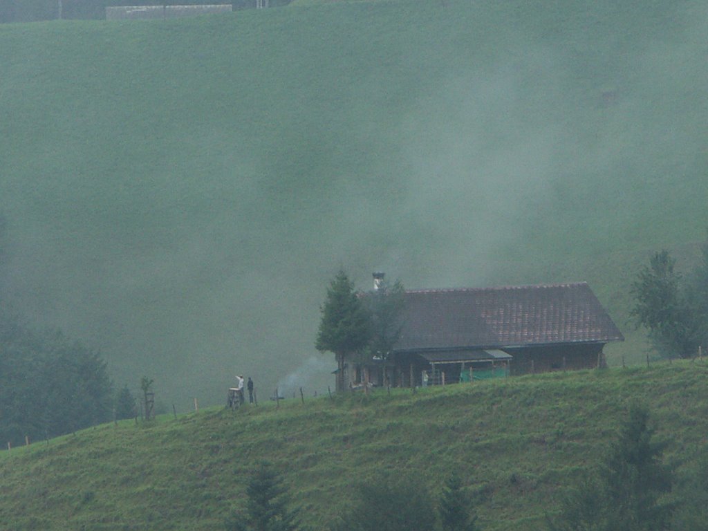 Goldinger Tal by Eugen Häusler