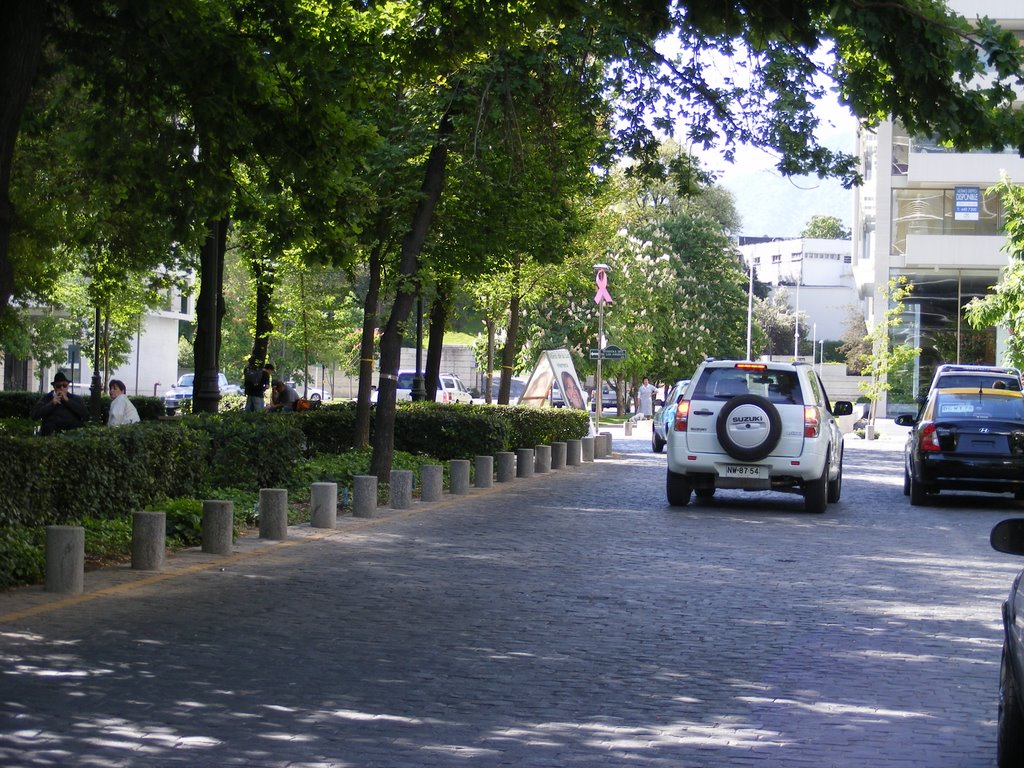 Las Condes, Santiago Metropolitan Region, Chile by sebilla