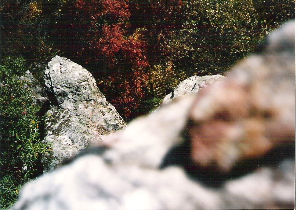 Rocks on Clinch Mountain by gohokies