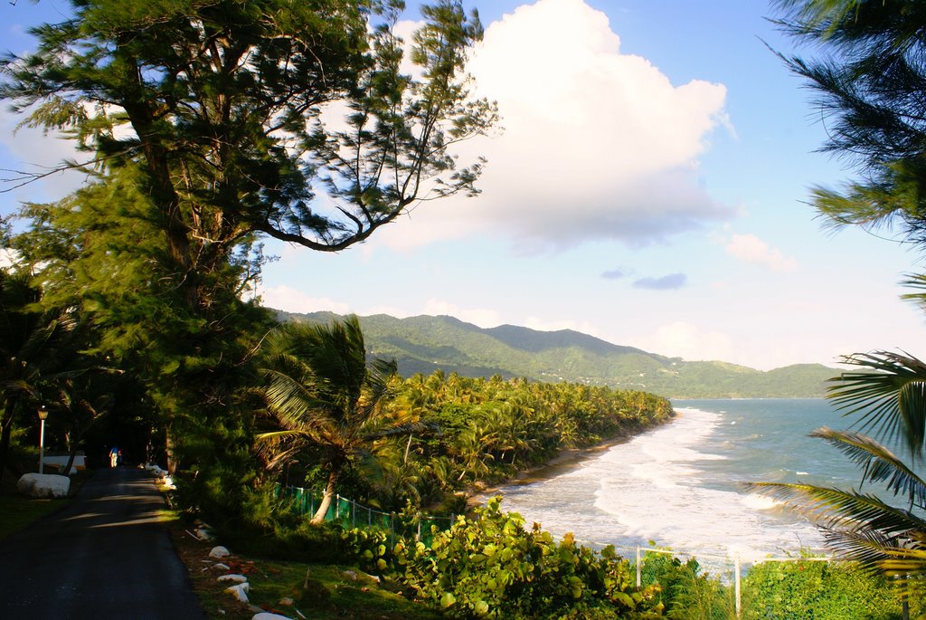 Playa Larga desde el Faro Maunabo by Nelson "Papo" Vazque…