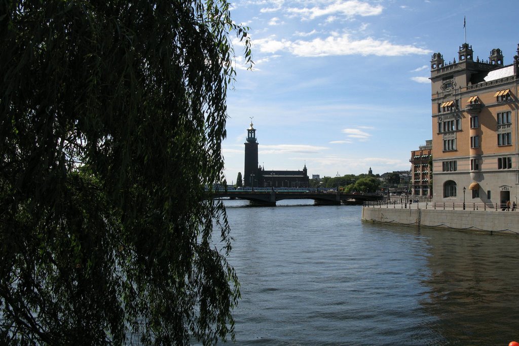 Stockholm Town Hall in the distant by mogens13