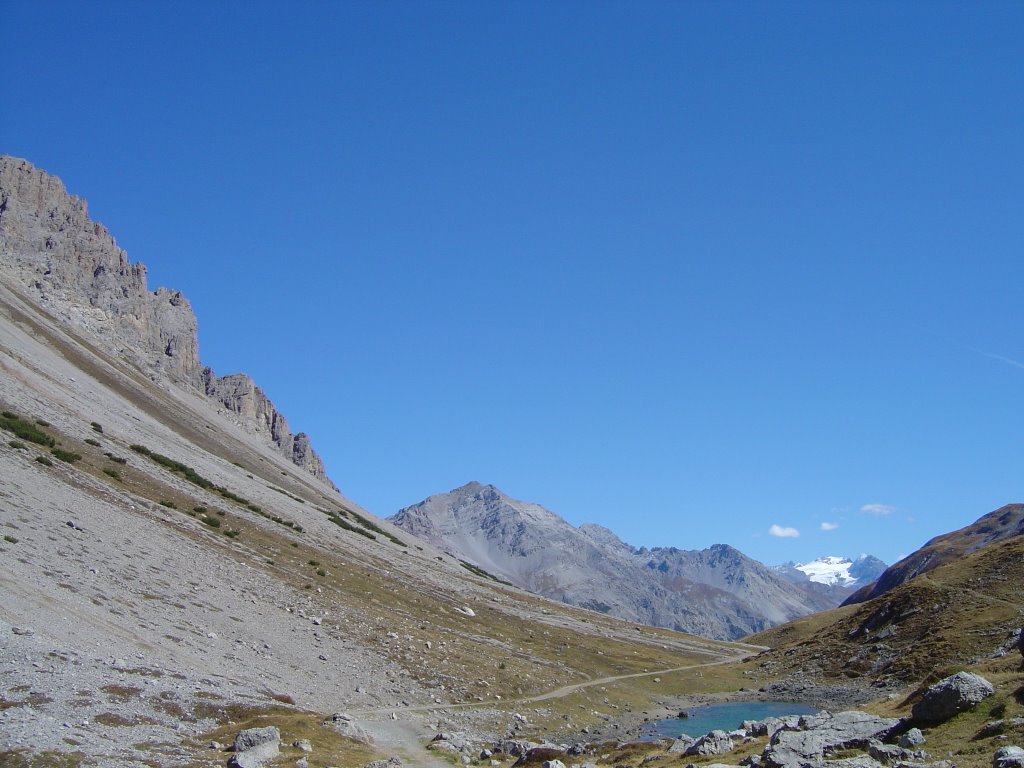 Passo Val Alpisella by Siro Bor.