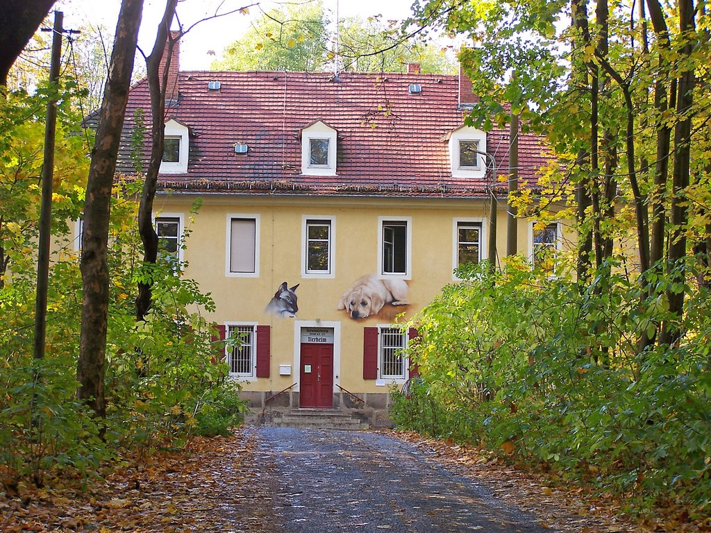 Freital, Tierheim auf dem Windberg by Dietmar Vettin