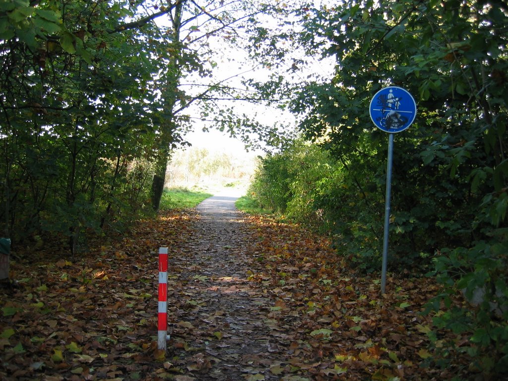 Herbst in Altenessen (Friedel Frentrop) by Friedel Frentrop