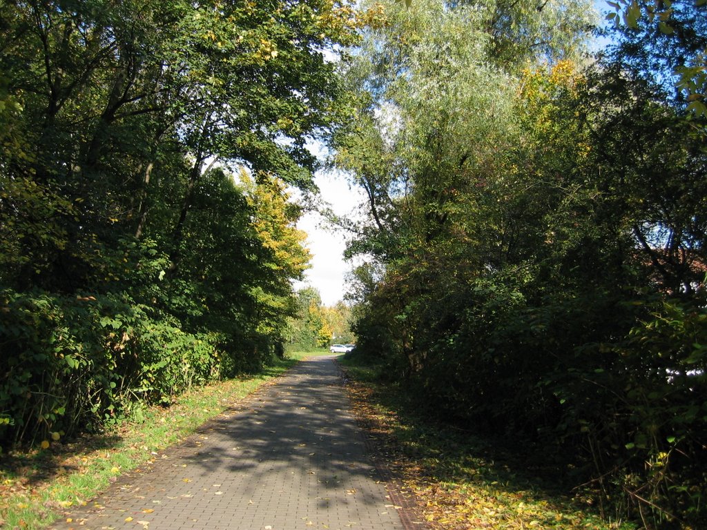 Sonniger Herbsttag (Friedel Frentrop) by Friedel Frentrop