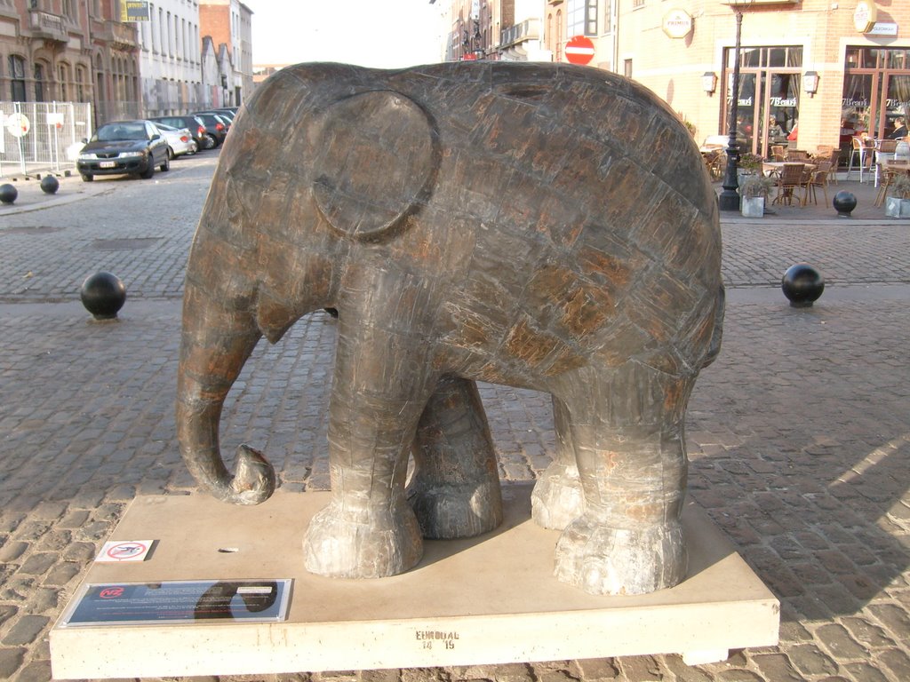 Elephants in Antwerp5 by Hein Cannie