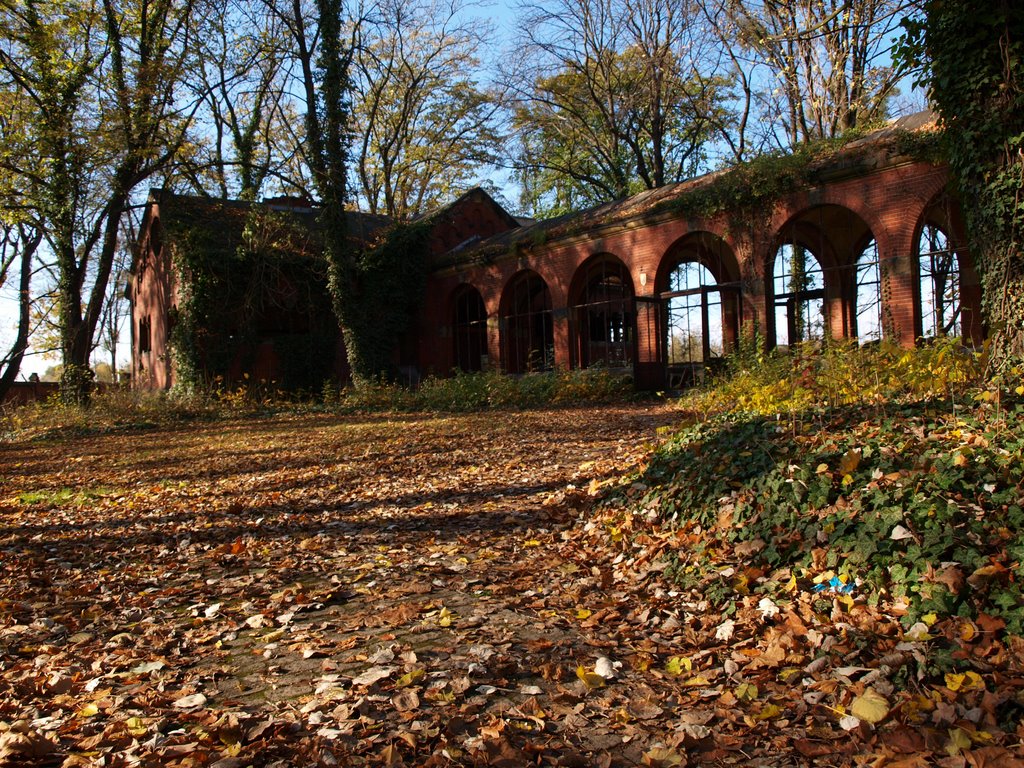 Pilczyce, Wrocław, Poland by Małgorzata Kasiewicz