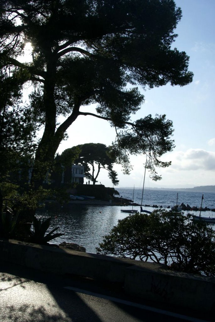 Juan-Les-Pins - Boulevard du Maréchal Juin - View WSW on Port de l'Olivette by txllxt TxllxT