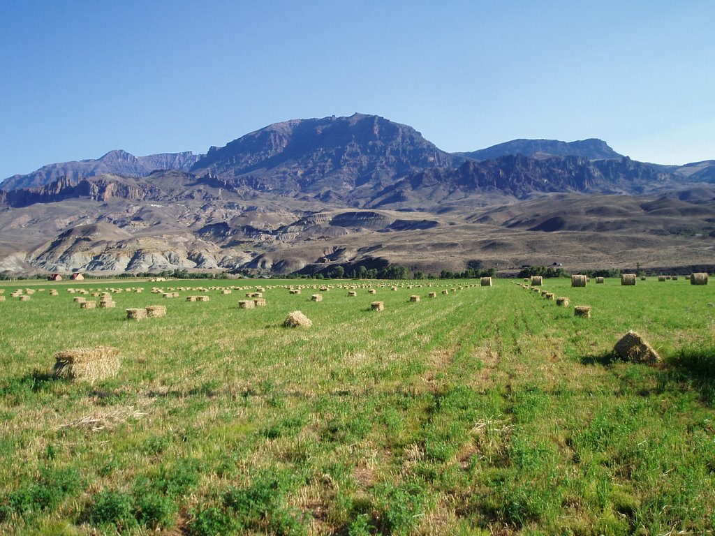 Contaste Wapiti Valley by Marc Saint-Loup