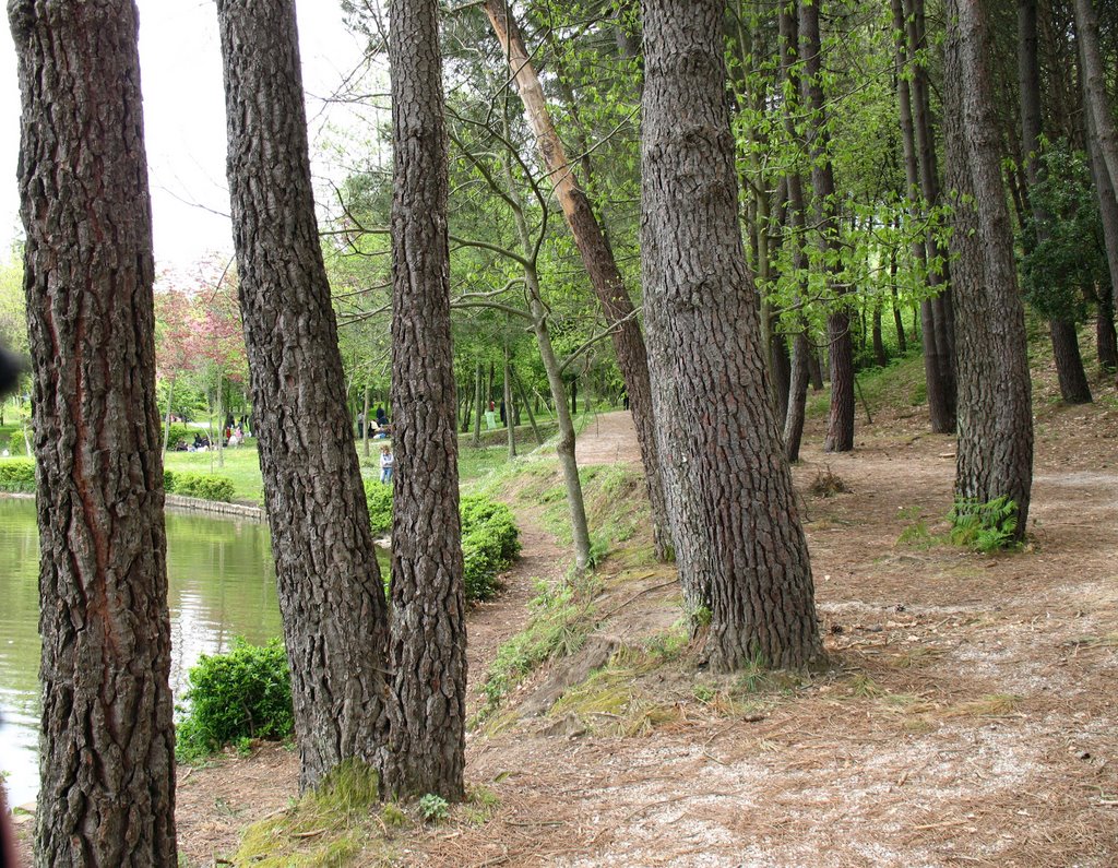 Parco di Castell'Umberto il laghetto* by F Bellisario