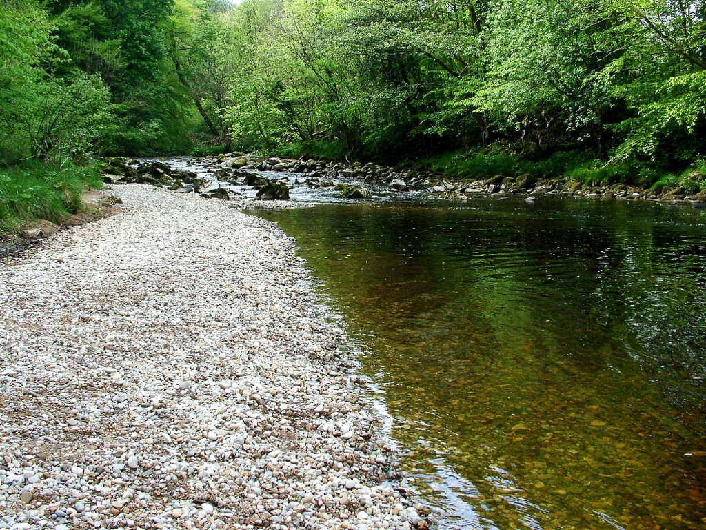 Bolton Abbey by Dave Birkenshaw