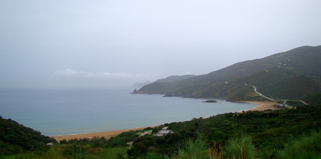 Plage Djenen El Bey ( oued bakrat ou la grande plage) by Jalel Hadj moussa