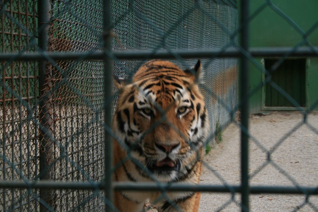 Zagrebački ZOO by majer63