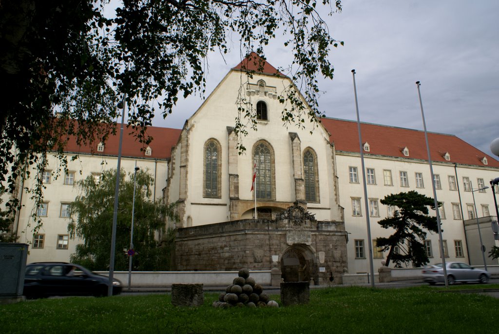 Wiener Neustädter Burg Militärakademie by Annushka77