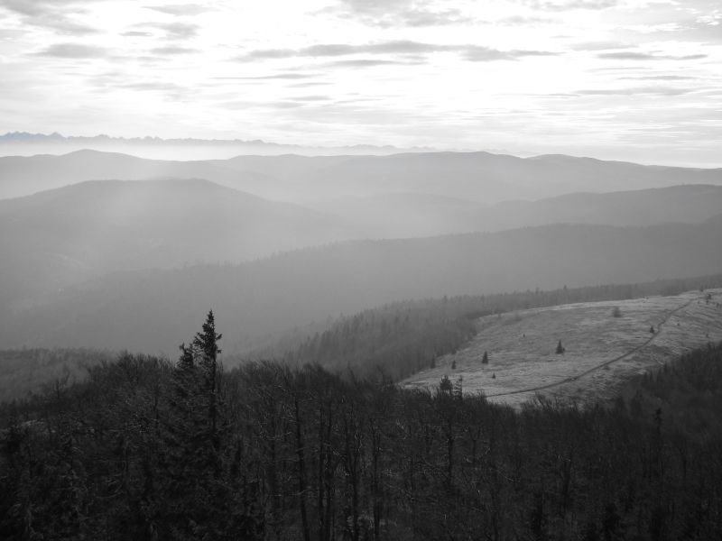 Widok na Tatry z Kopy by wojtti7