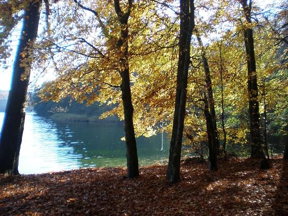 Łagów, Poland by Baśka B.