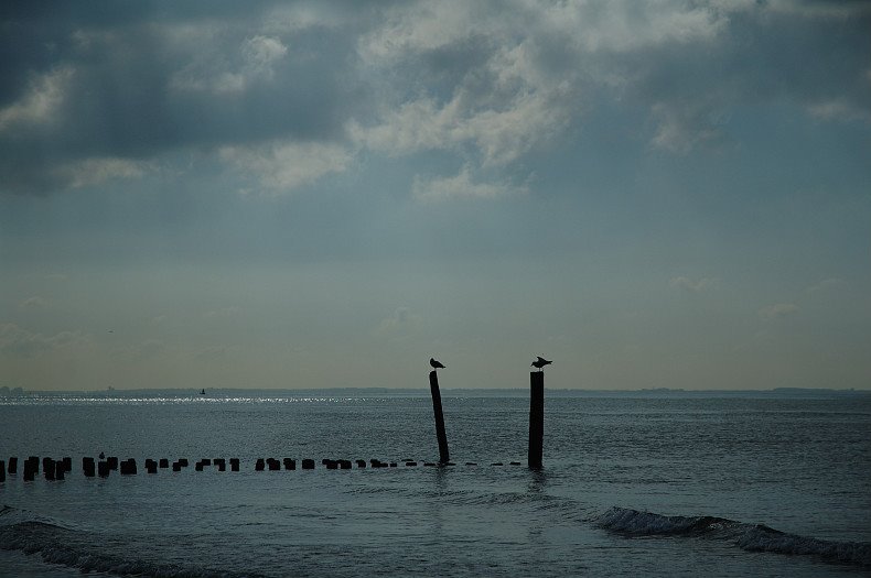 Zoutelande beach by http://www.erik-foto.nl by www.erik-foto.nl