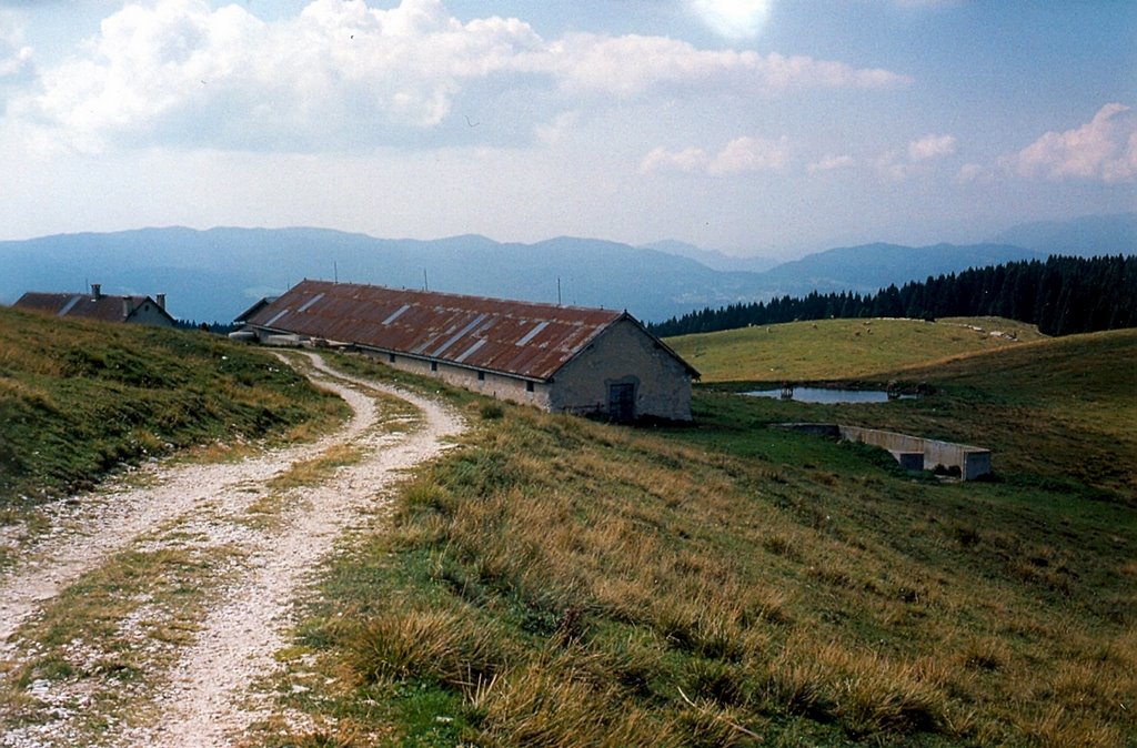 Malga Longara di dietro by Giuseppe De Giacomet…